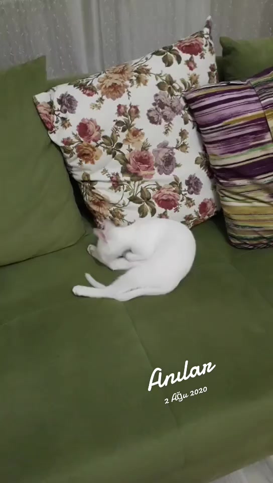 @harbi kız 52.71