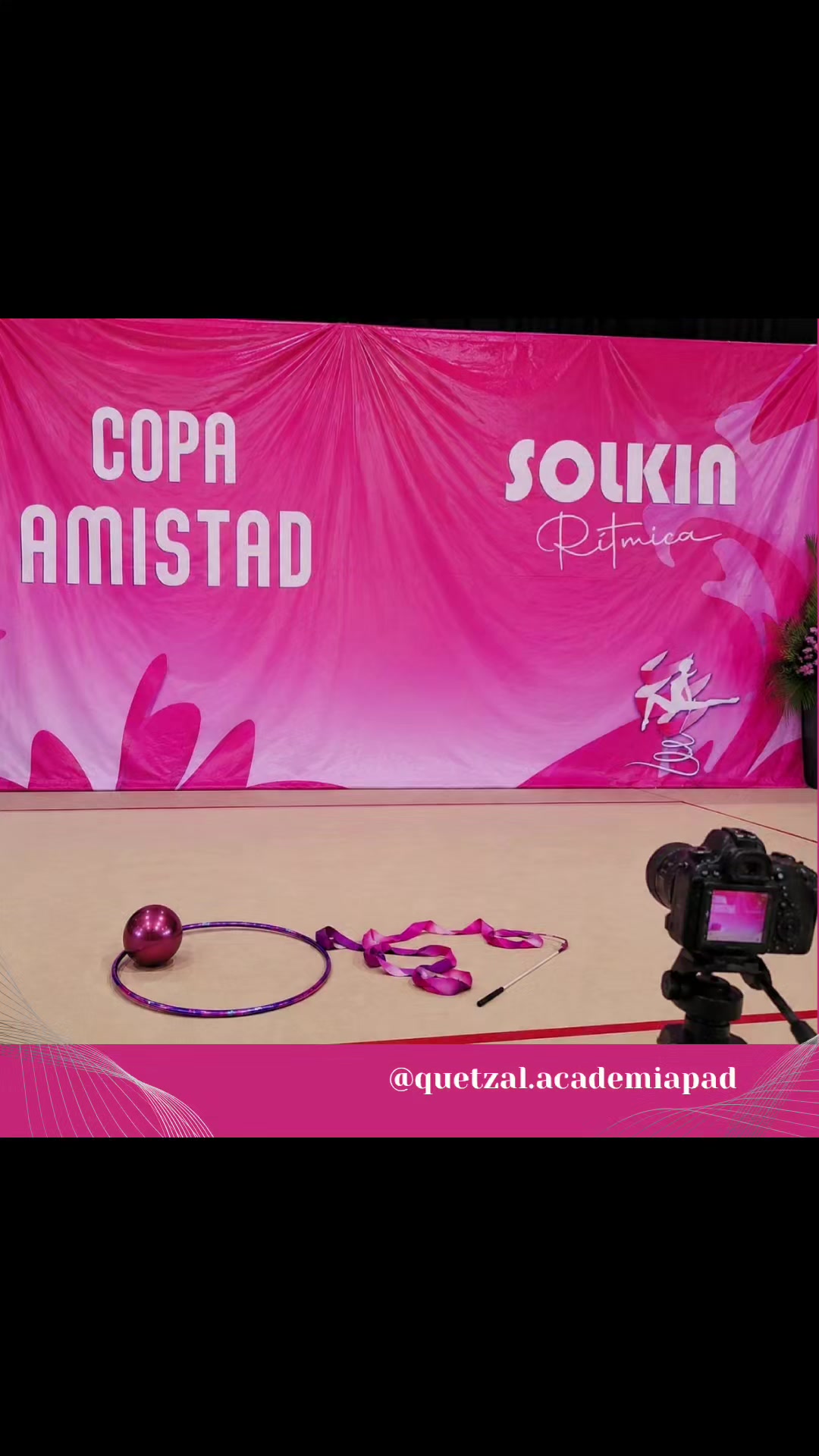 @Quetzal - Academia Profesional