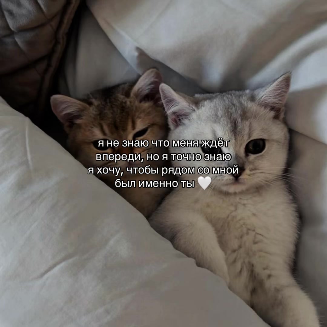 @Х̶И̶Т̶Ы̶ У̶ П̶Л̶И̶Т̶Ы̶🎧