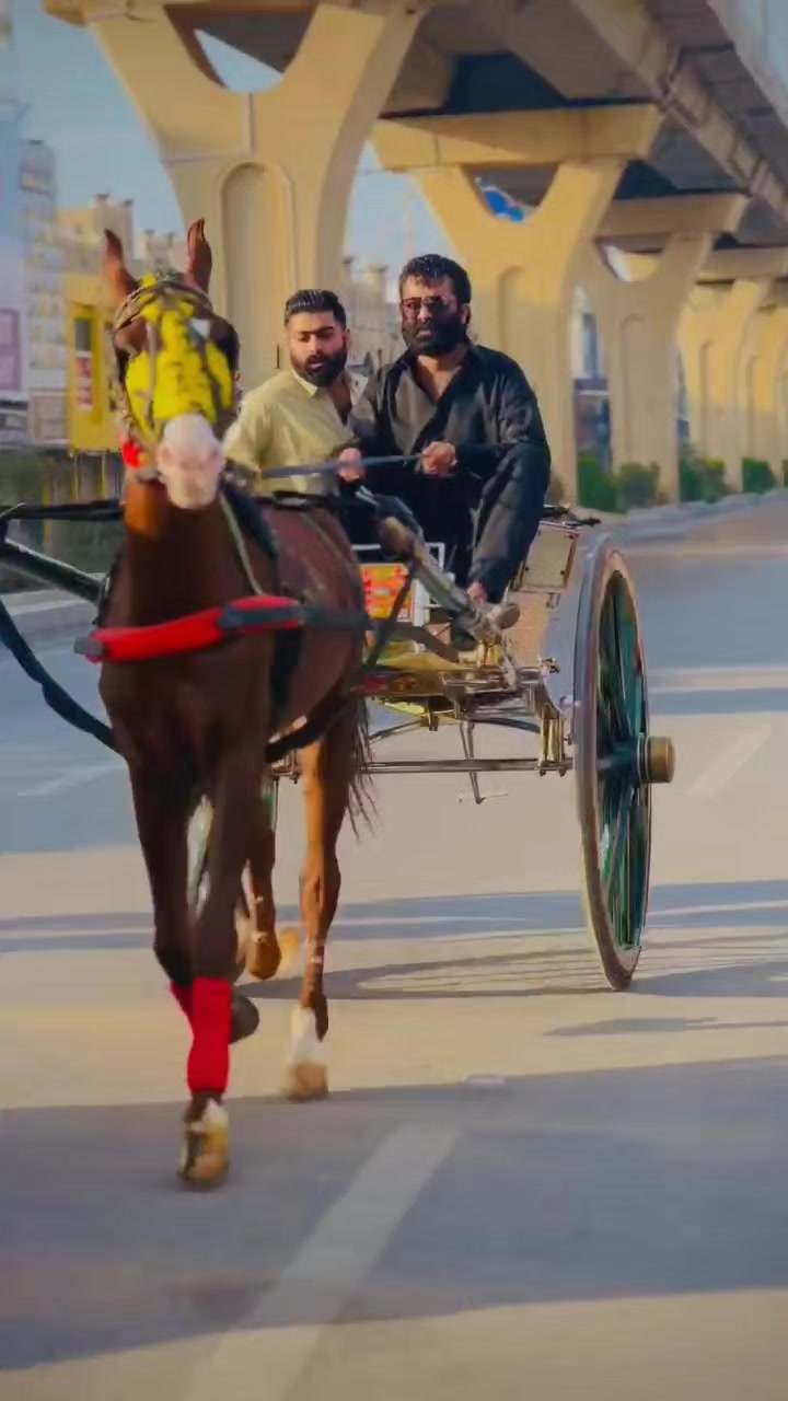 @junaid_Bhatti