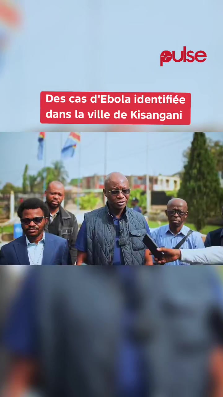 @Pulse Congo