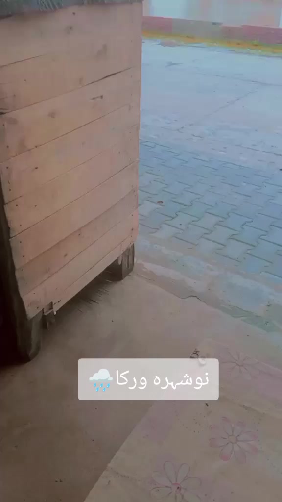 @SHAN ALI 7985