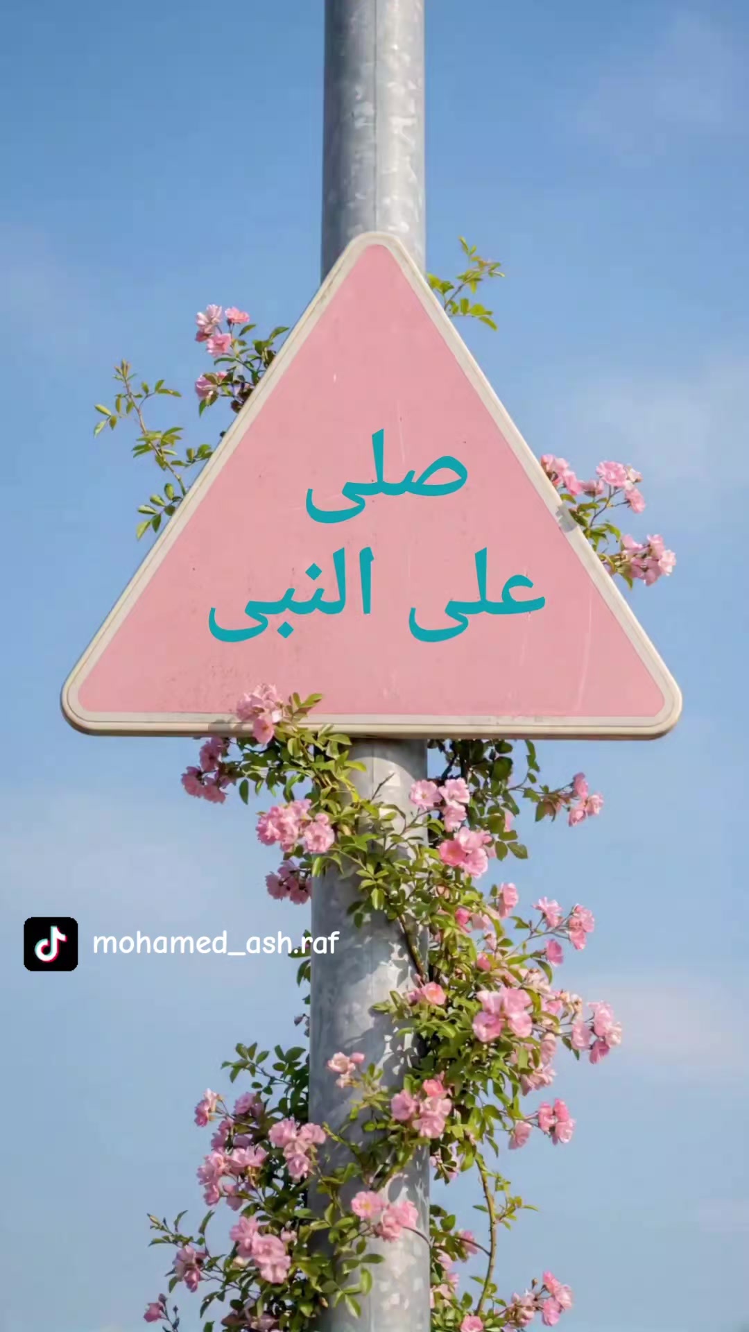 @mohamed_ash.raf