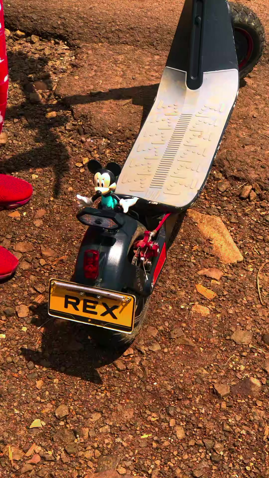 @Rex trademark treasures