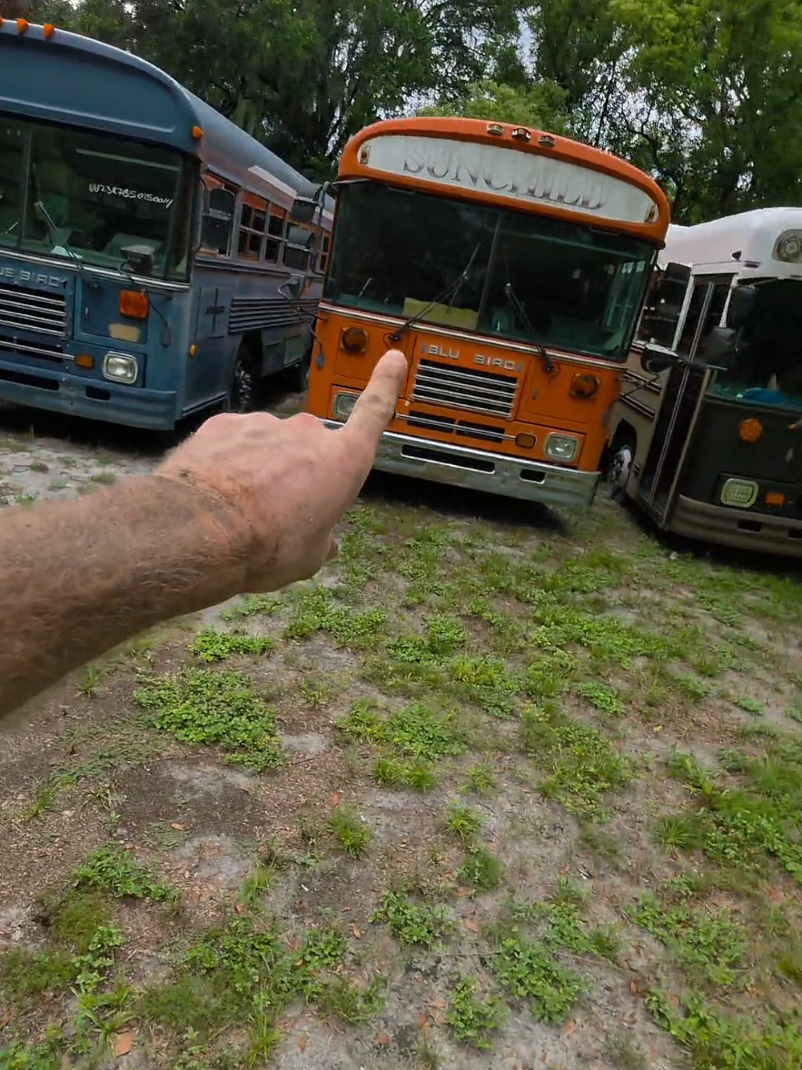 @BusandBunny