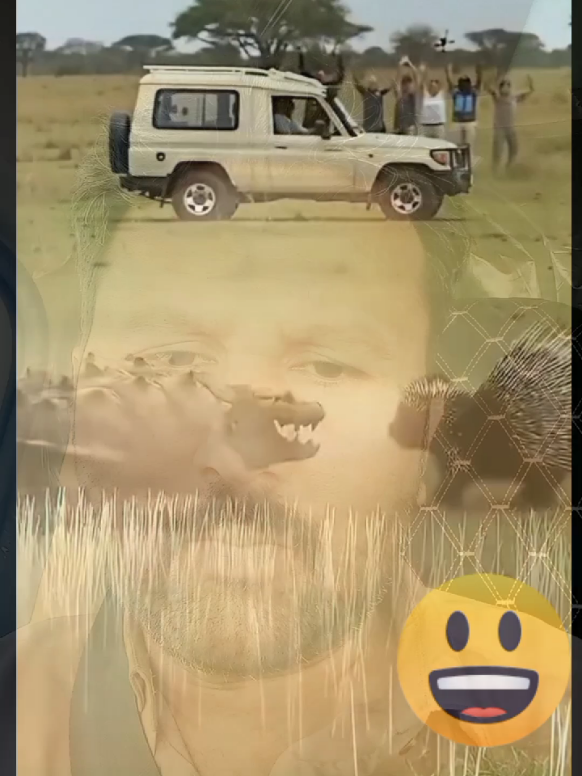 @jani