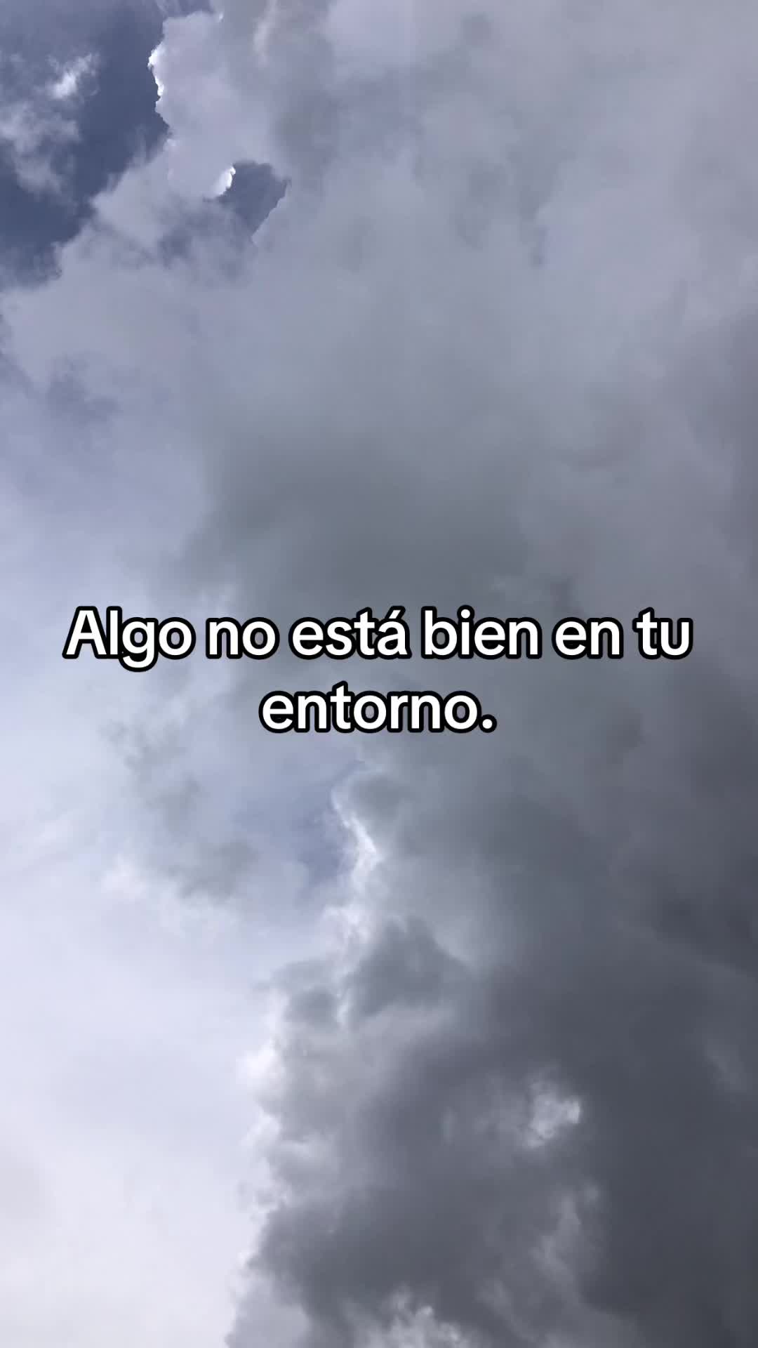 @🔮Maestro_San_Miguel🔮