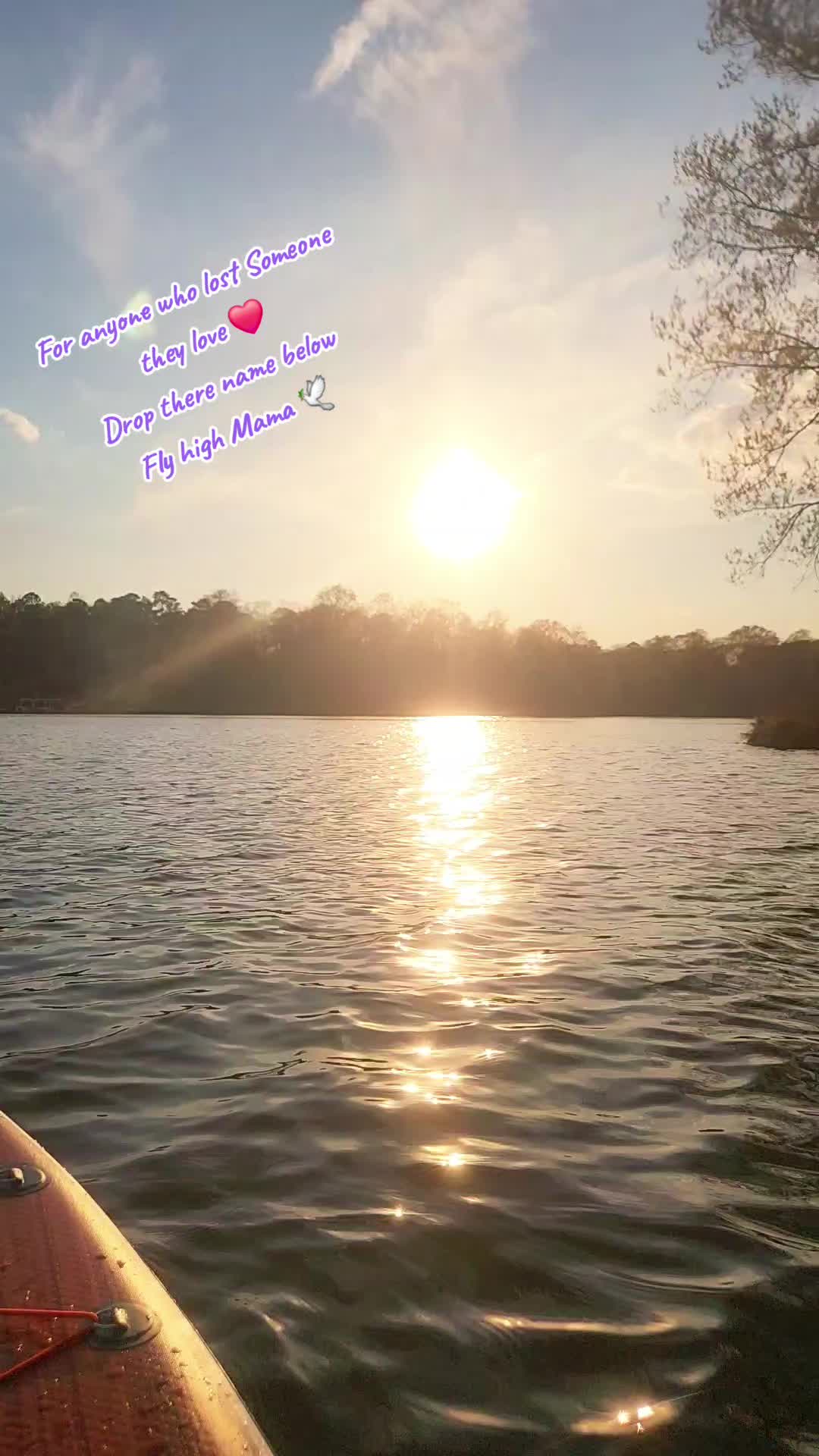@✨️💕Chantel 💕✨️