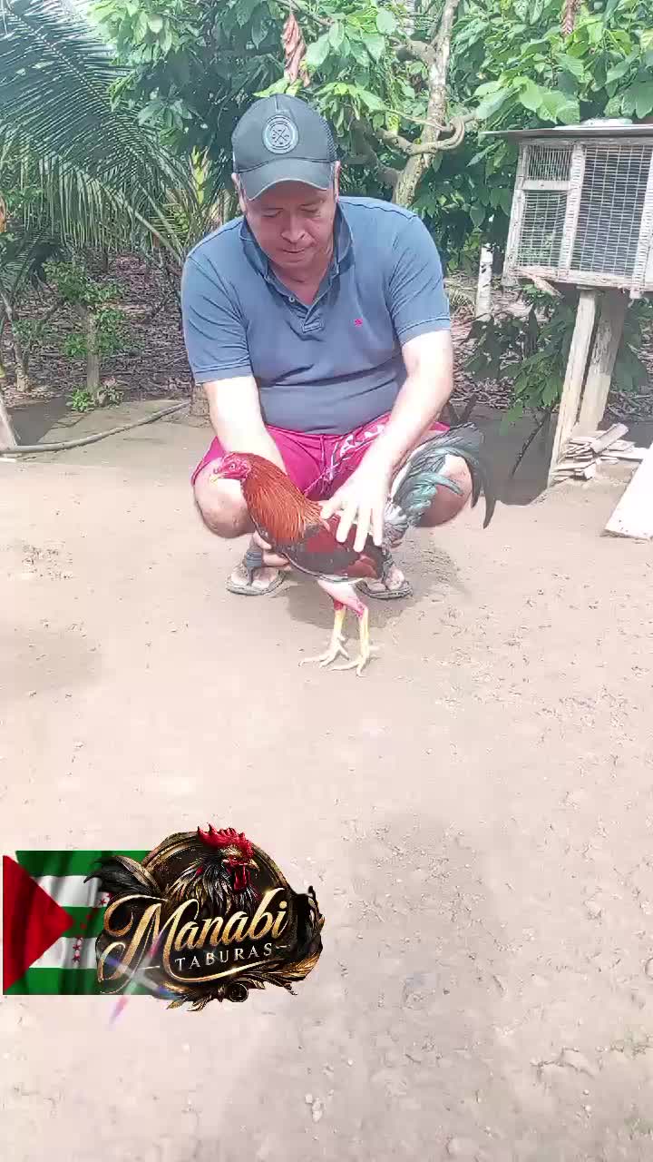 @MANABI TABURAS