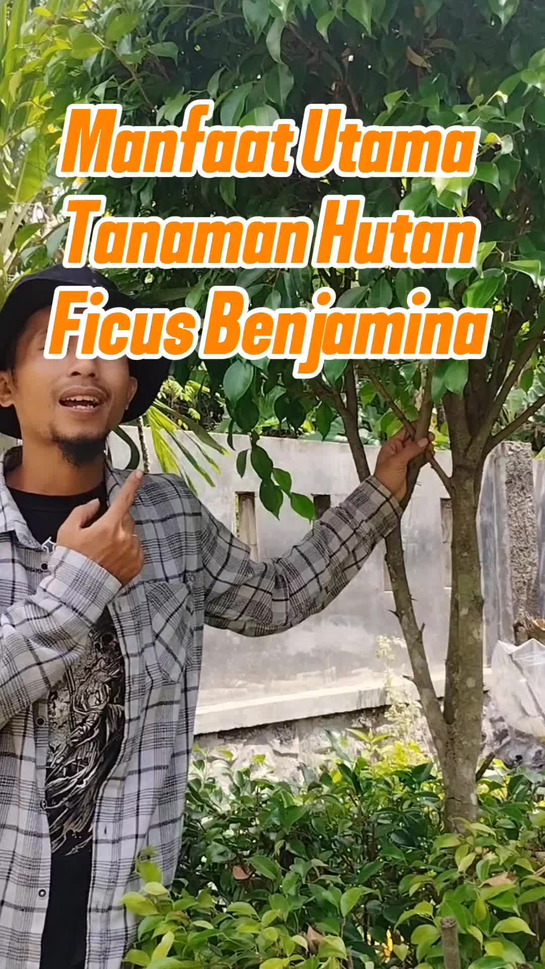 @Bukit Farming