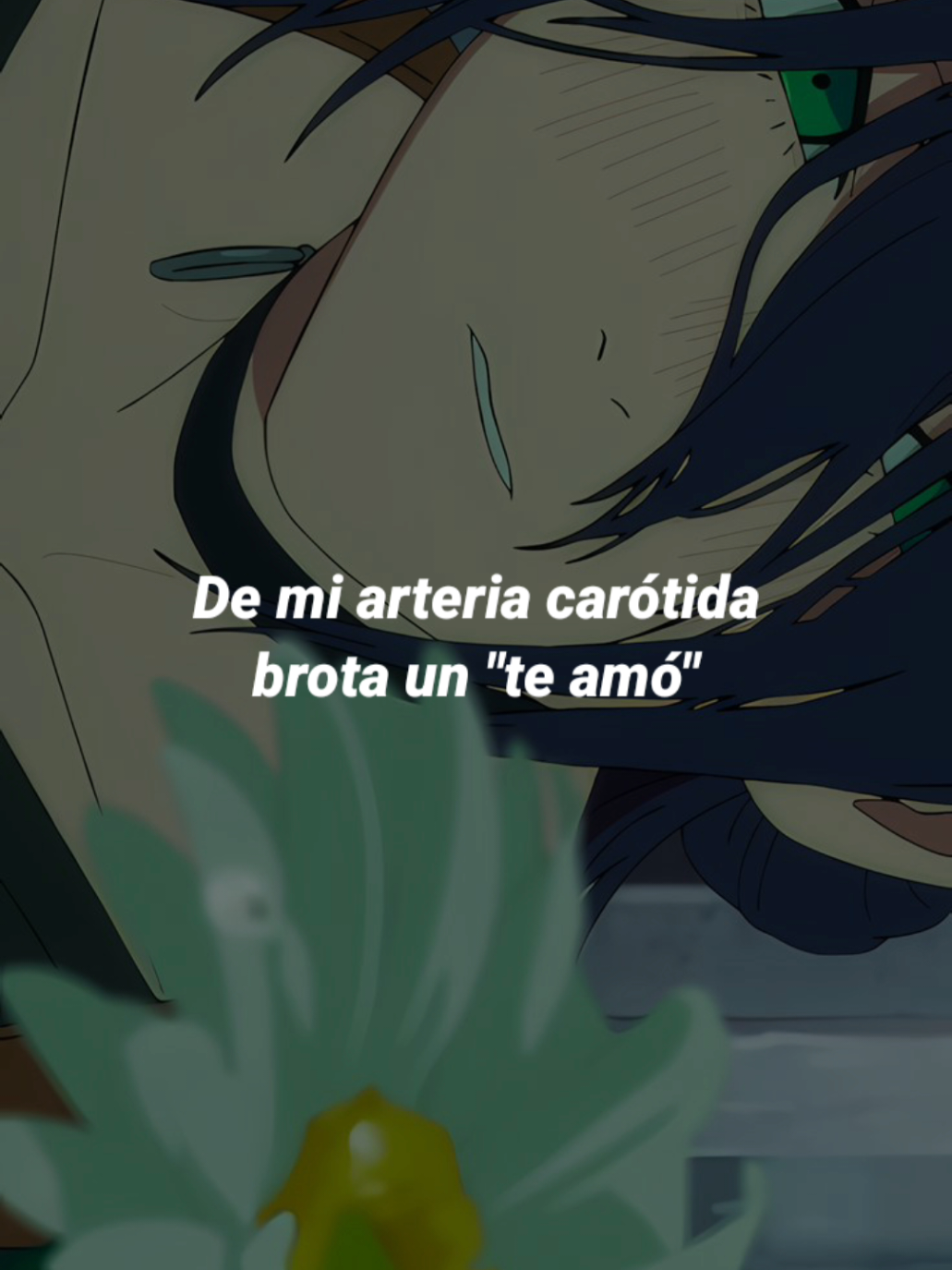 @✨️Angel✨️