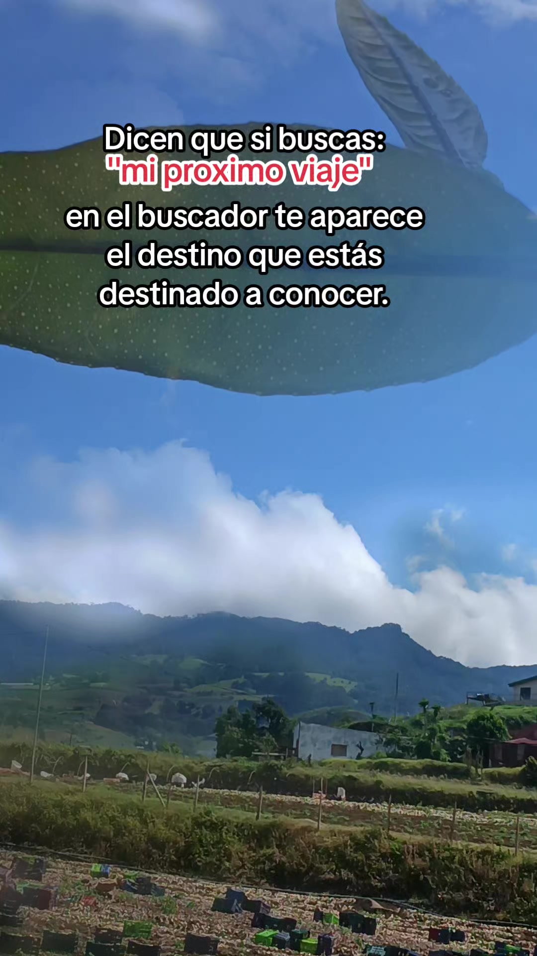 @🇳🇮🧃Osita🐼 Verdadera🧃🇨🇷