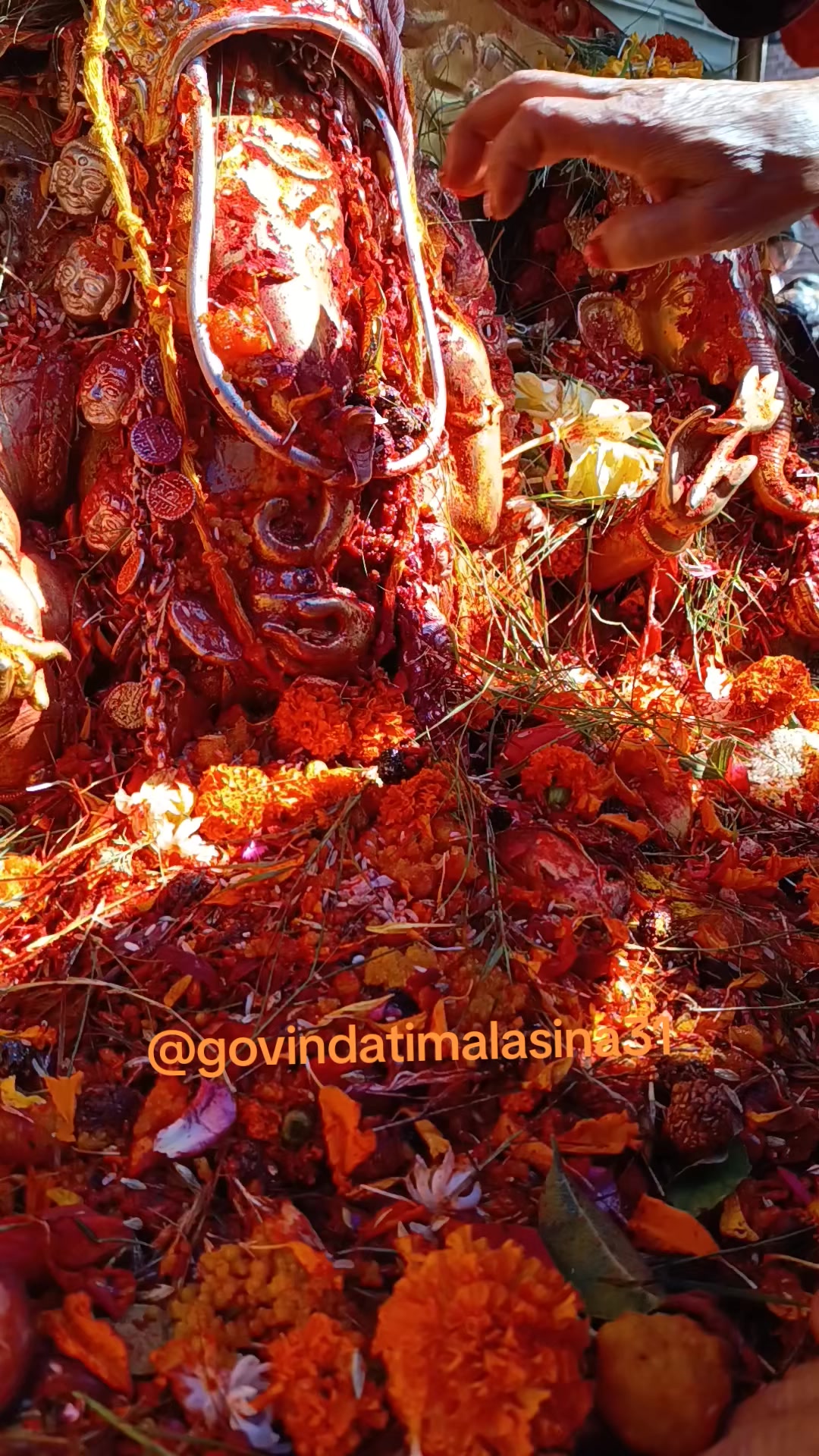 @Govinda Timalsina🕉🦚