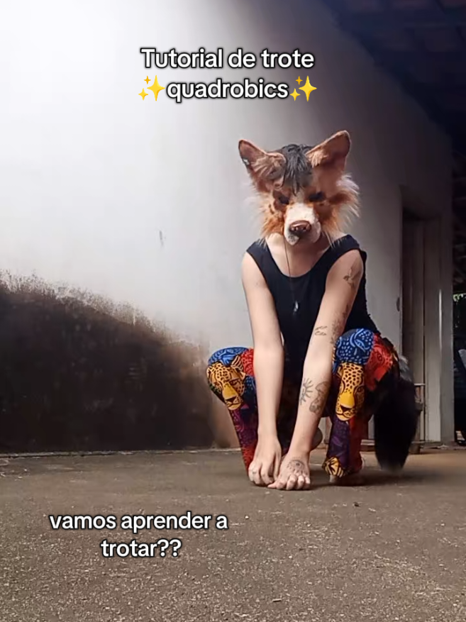 @𐂯✮⋆𝙷𝚞𝚙𝚘𝚕˙𓃡₊˚⊹🐾