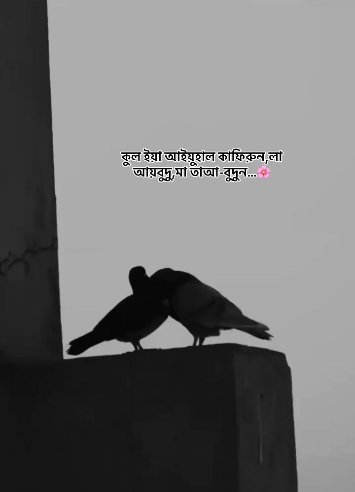 @𐙚_ᴡαғα_!i🤍🫧