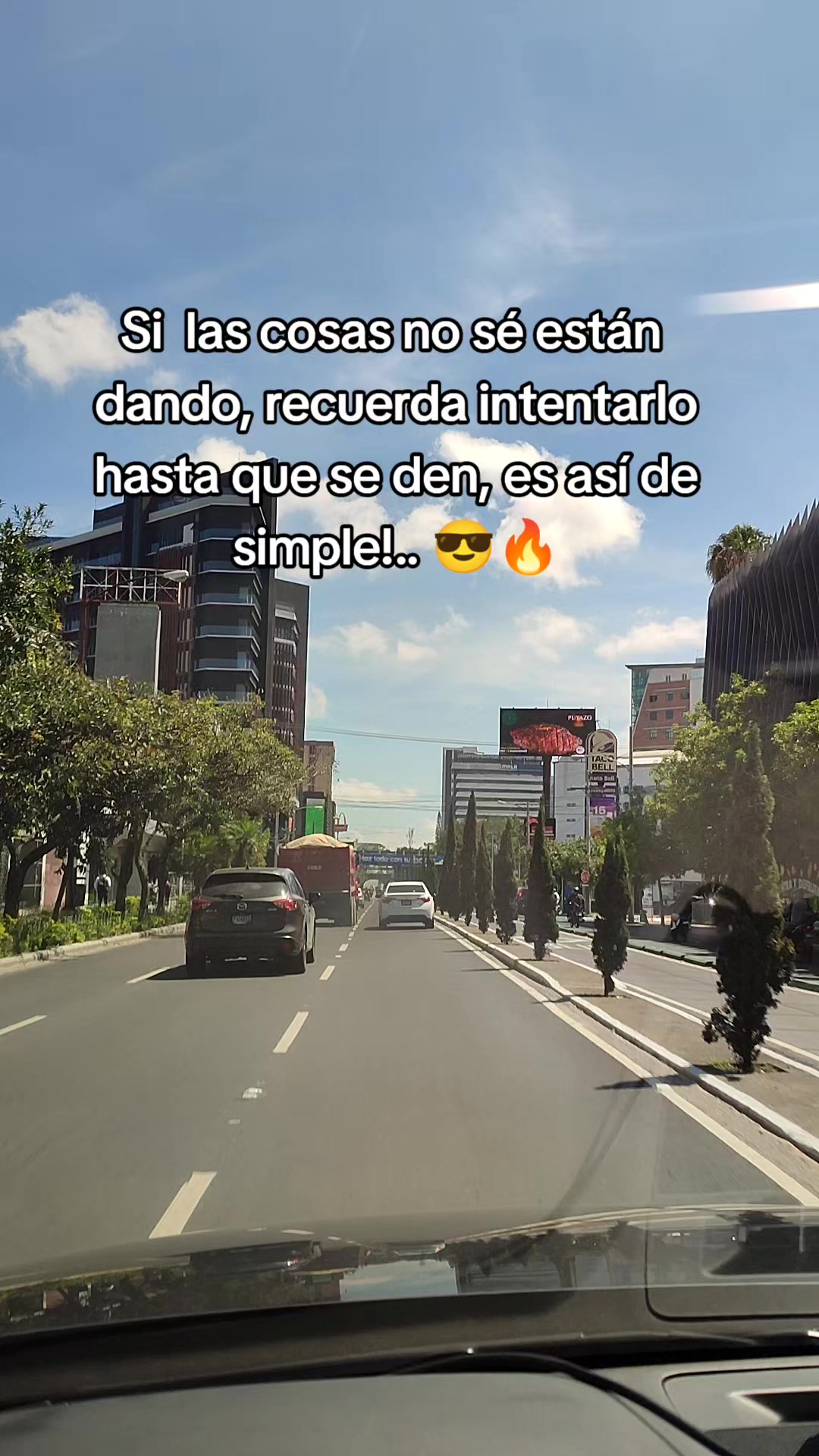 @tigre_502
