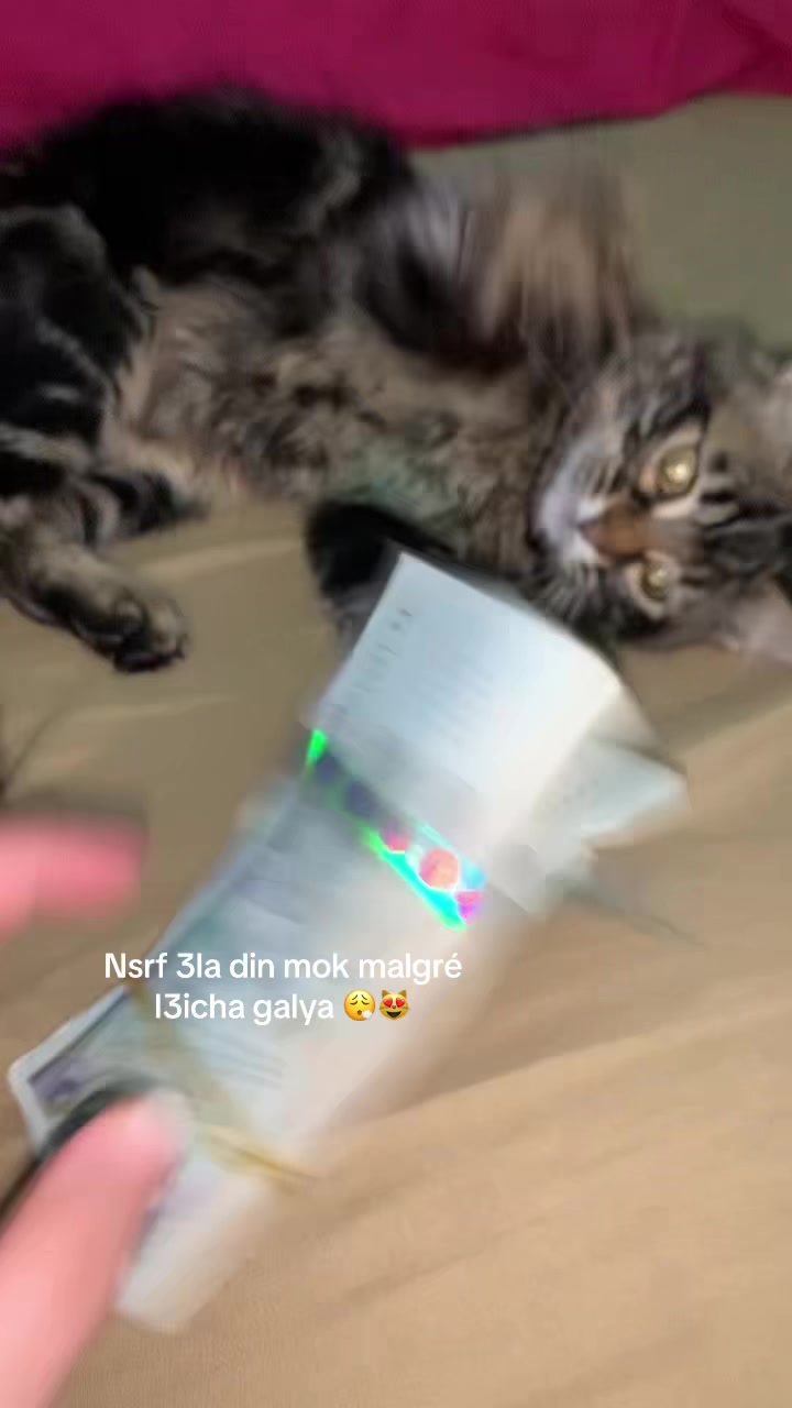 @✨