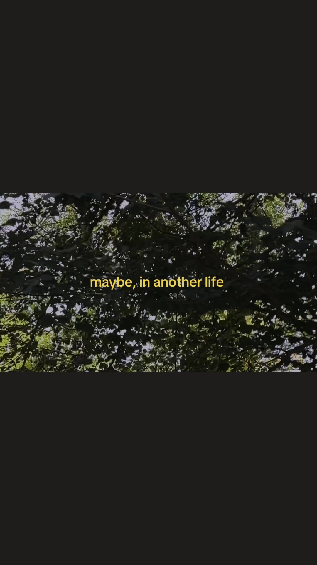@lúna
