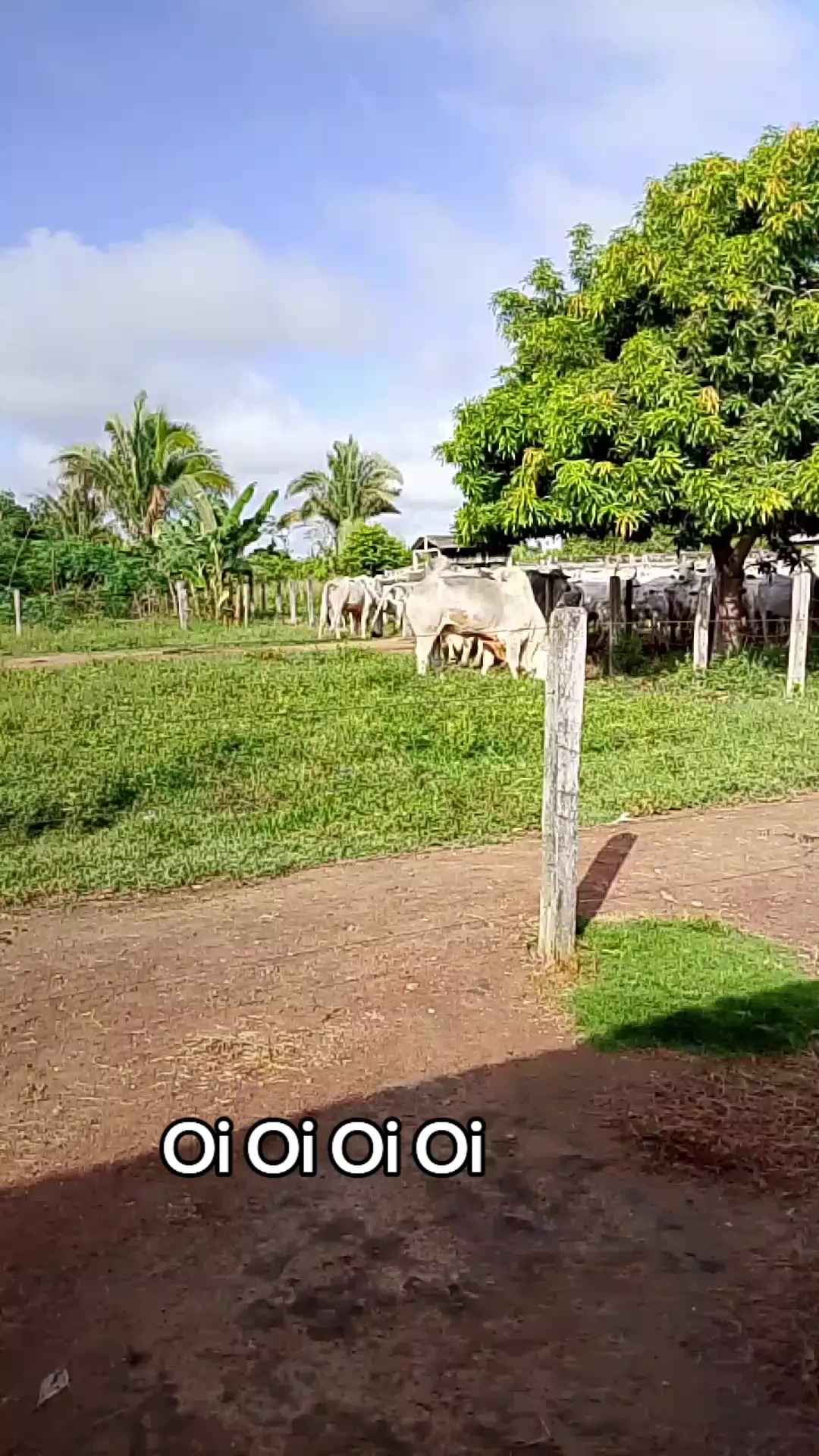 @Menina&Da roça🤠