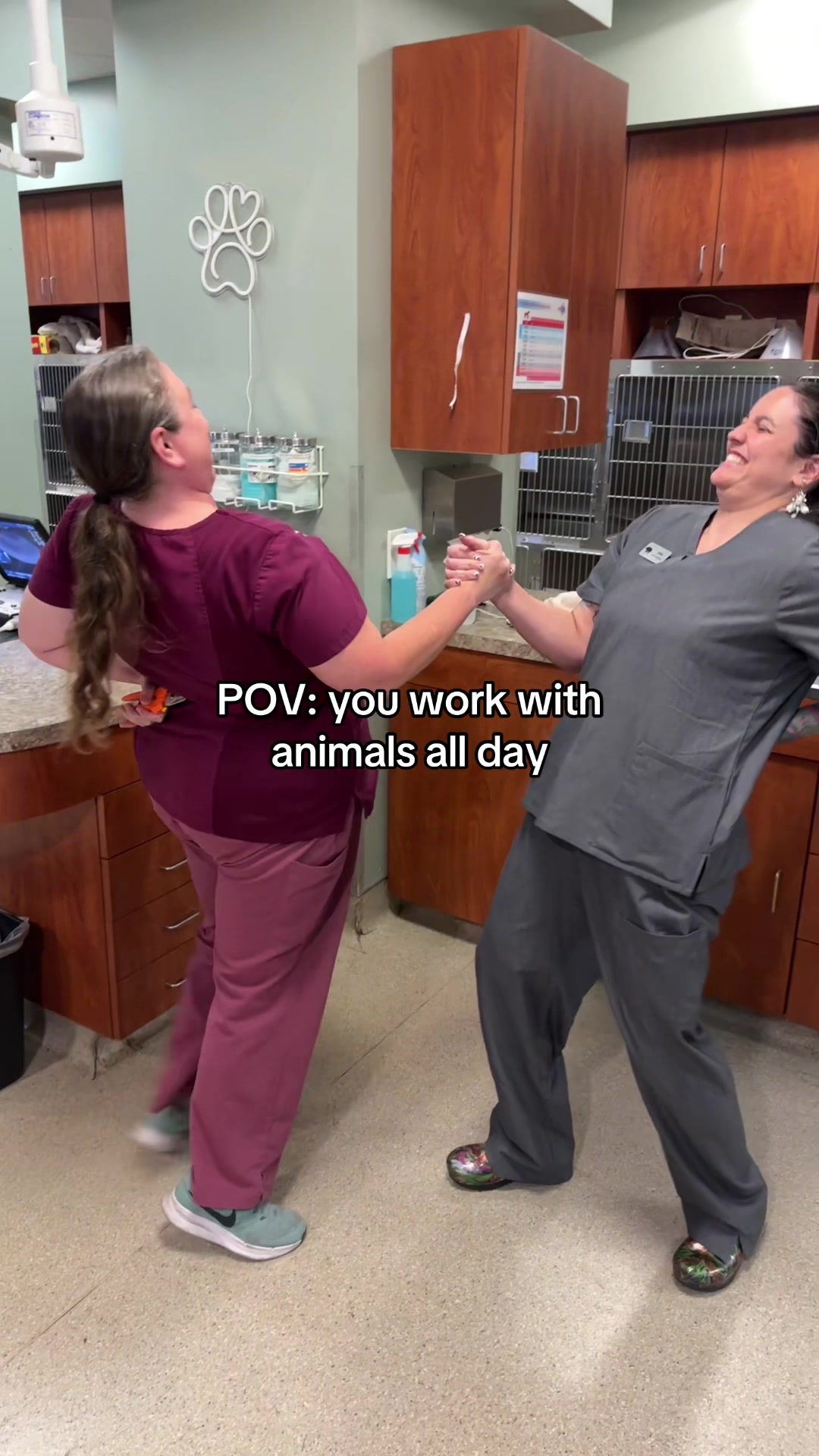 @Dreaming Summit Animal Hosp