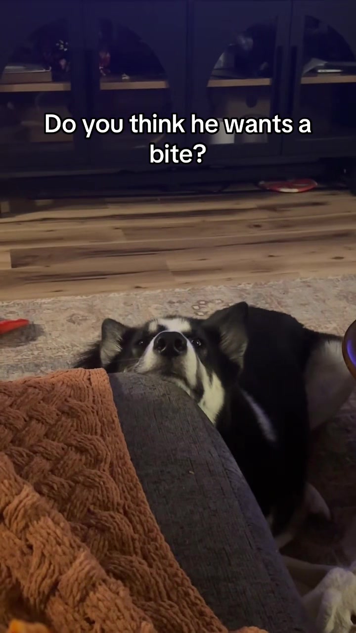 @kayleedbair