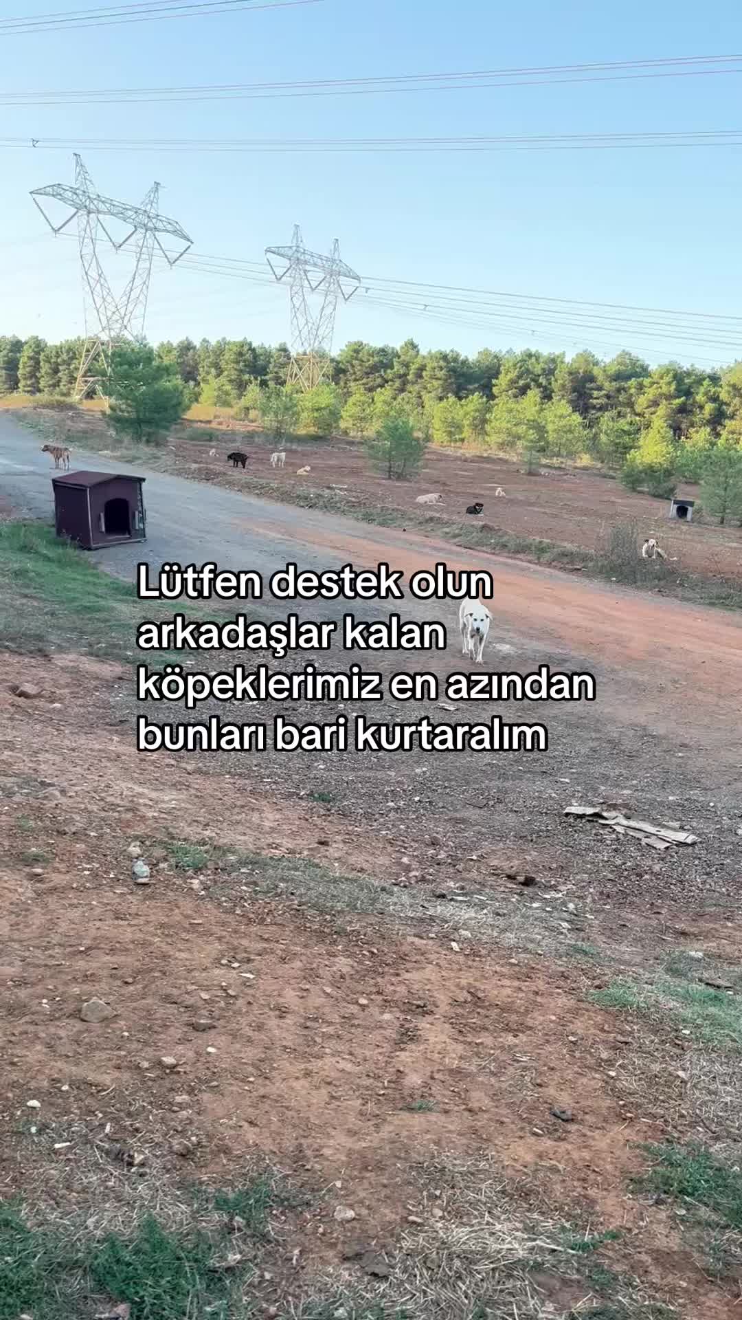 @Gönül Özcanlı
