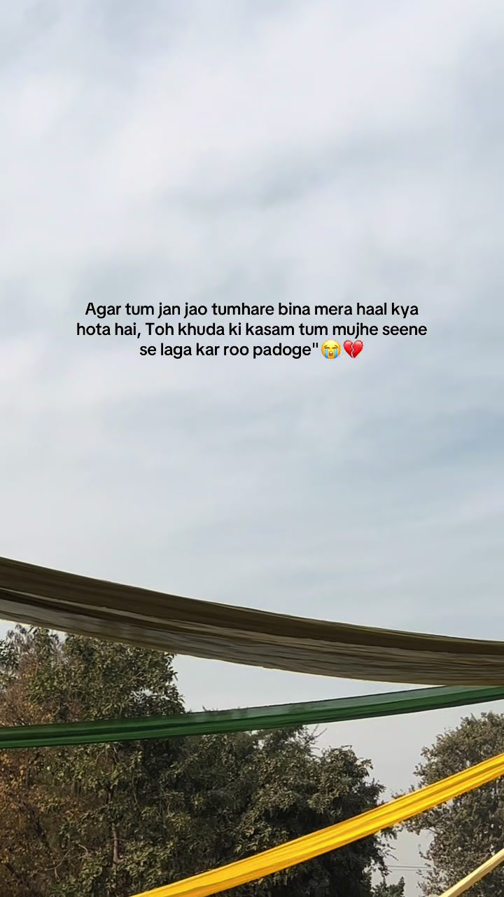 @Hamid Ali khan