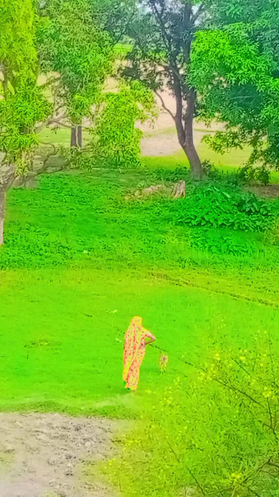 @yadav