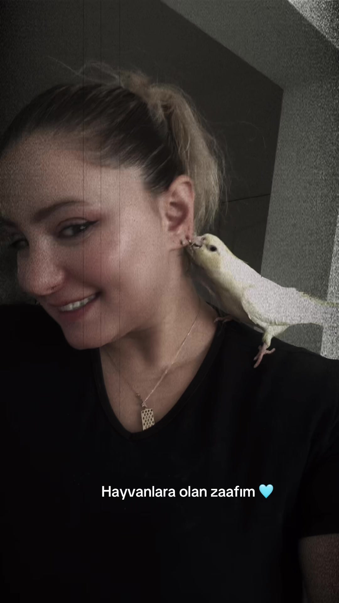 @🦁@sedasaritaş 🪽