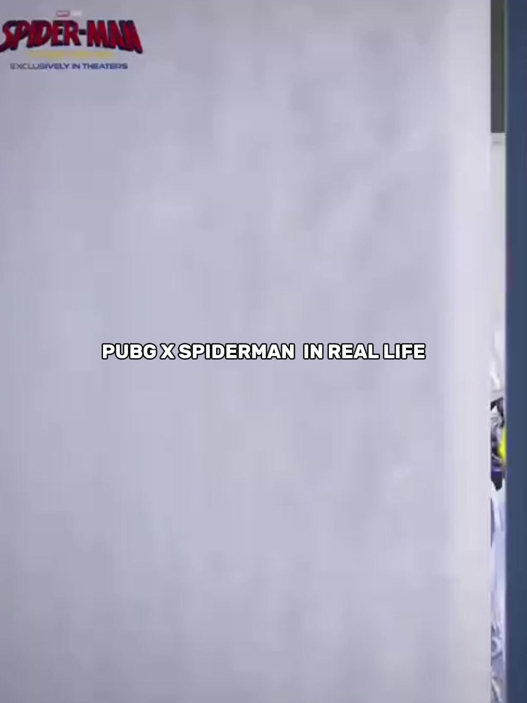 @Kelra FAN