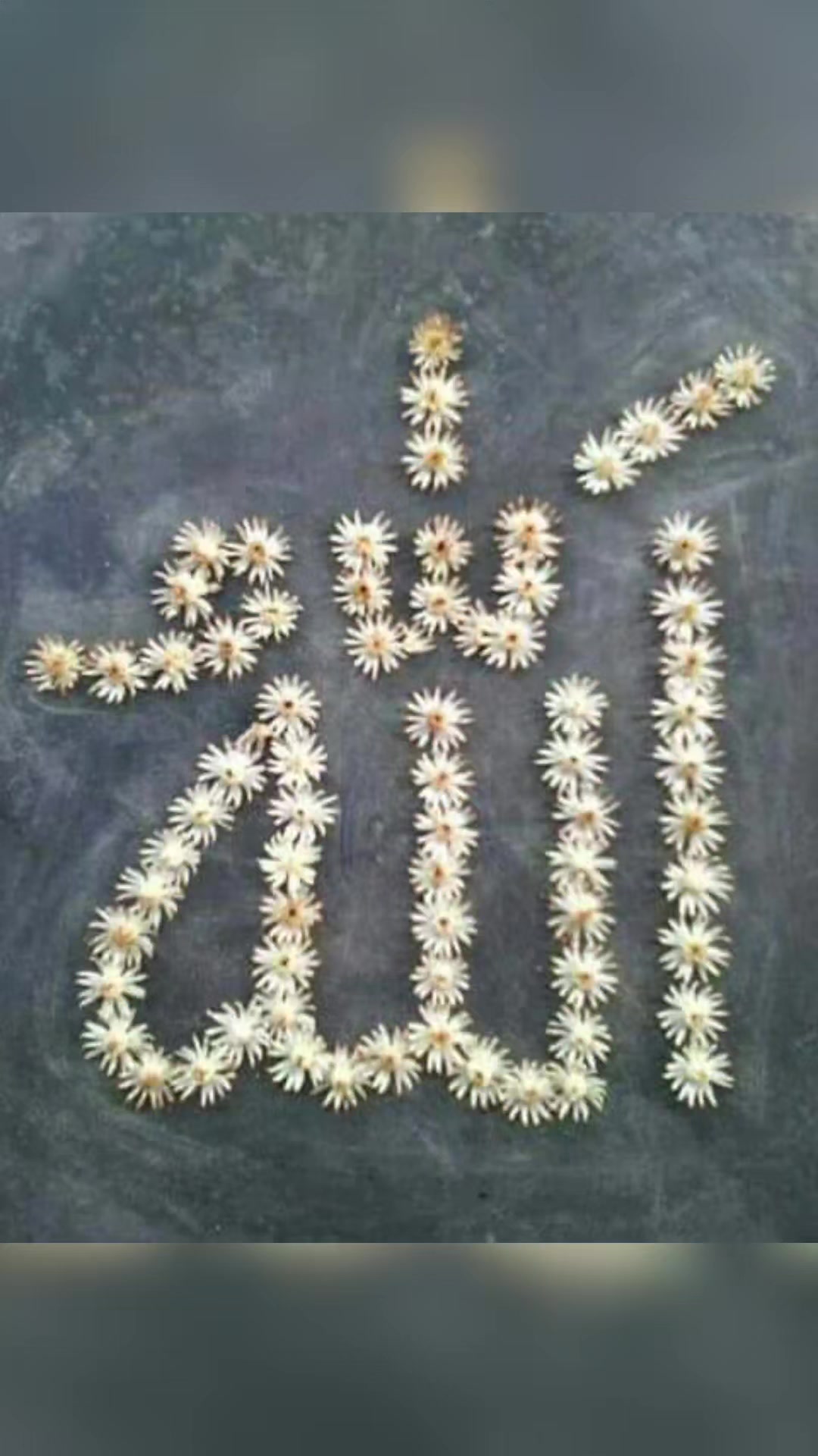 @Ｍ𝖆𝖗𝖚𝖋 𝕳𝖔𝖘𝖘𝖊𝖓 🪄