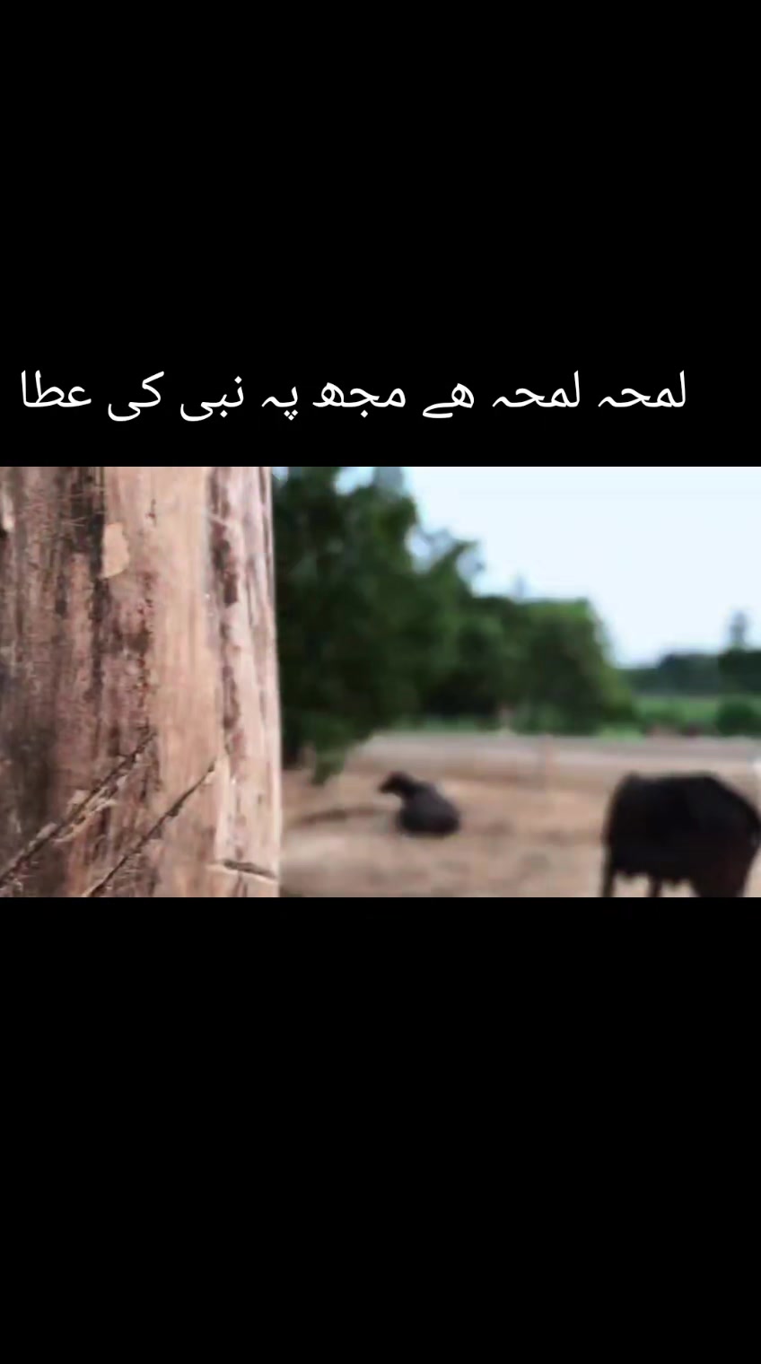 @Zaheer Farooqi
