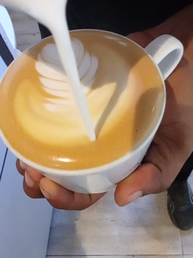 @Rashid255