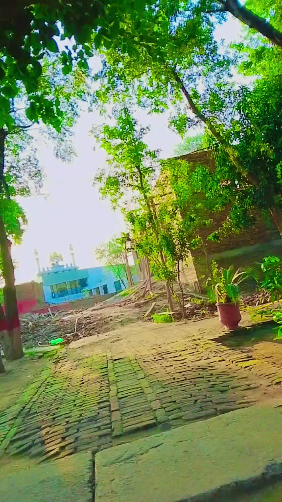 @♣️صابئ,شاھو کا نین آلہ♣️،