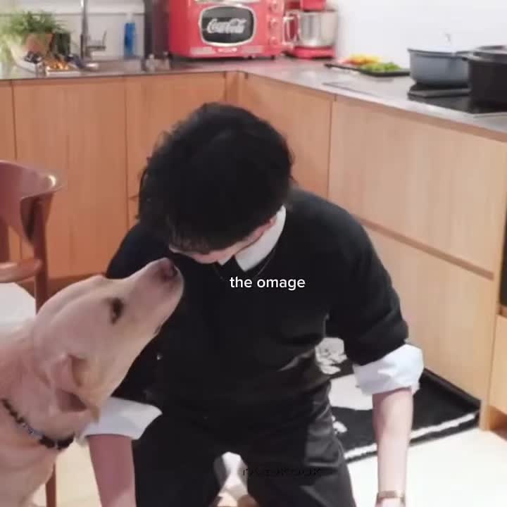 @๐๐ ๐ค
