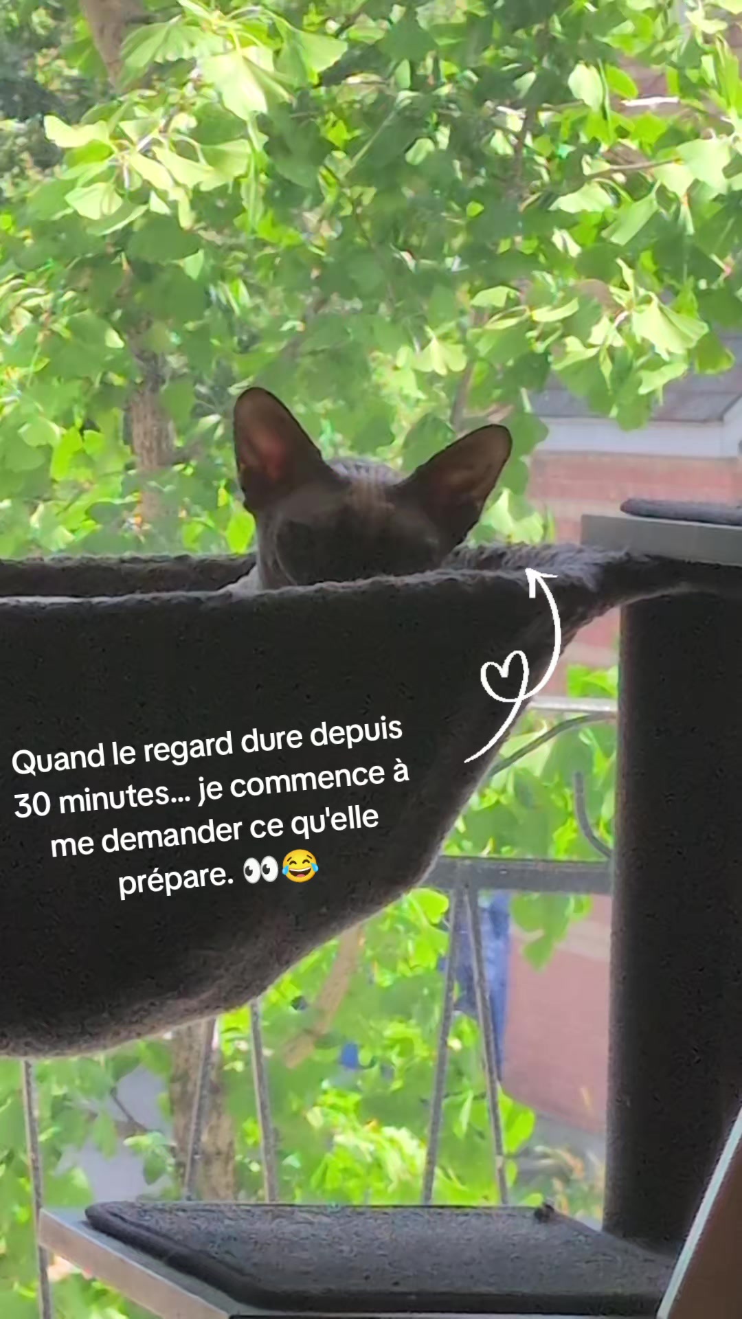@Amy_dusoleildanstajournee