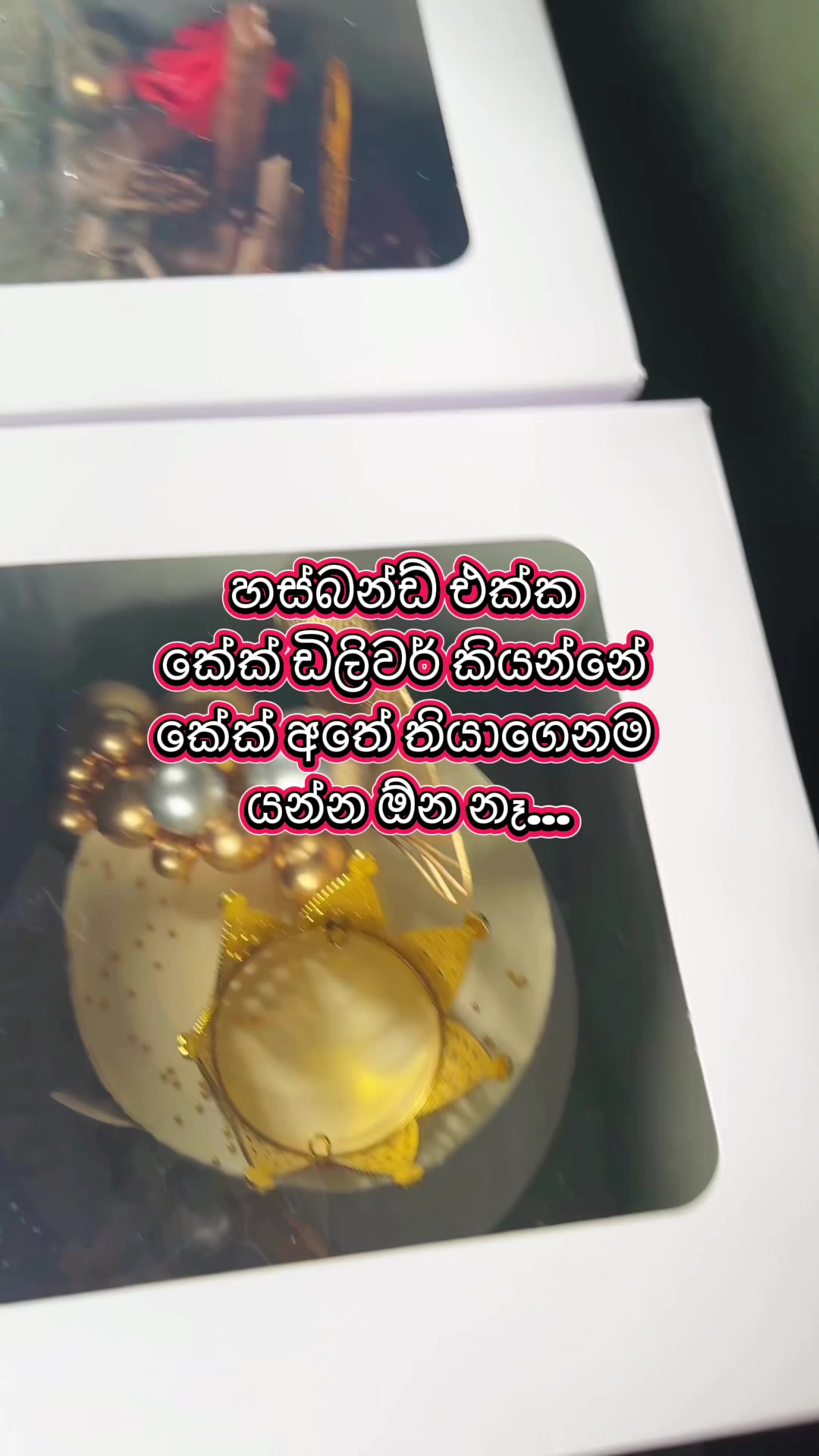 @The CAKE Gallery by Anu