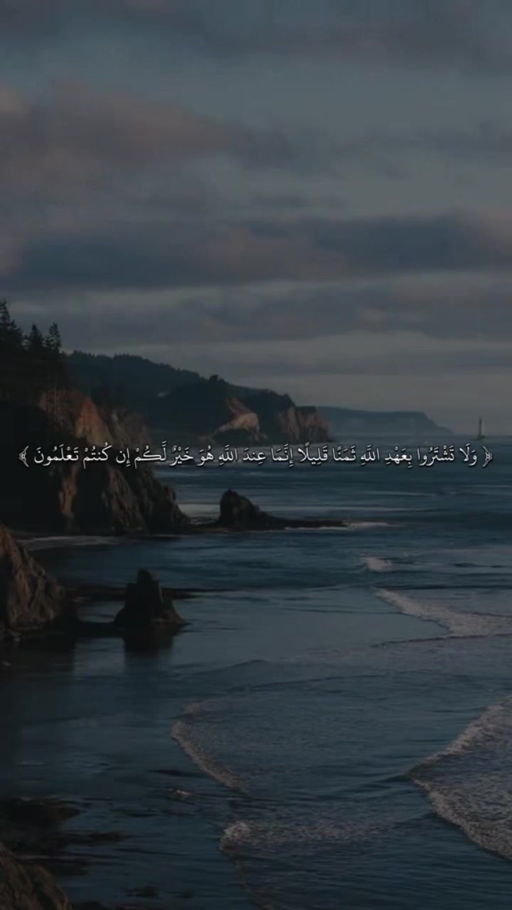 @علي الشريف🇸🇦