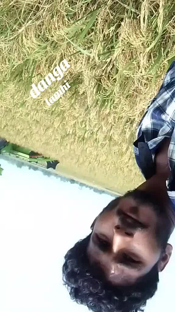 @royal dhanghadhi 2855