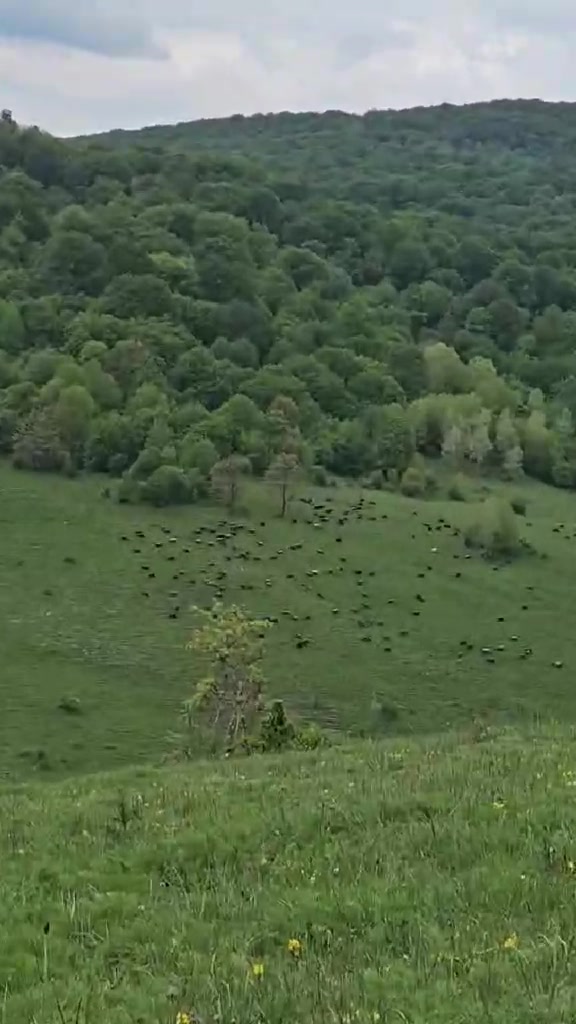 @Ferma dhive xhebexhia 🐐