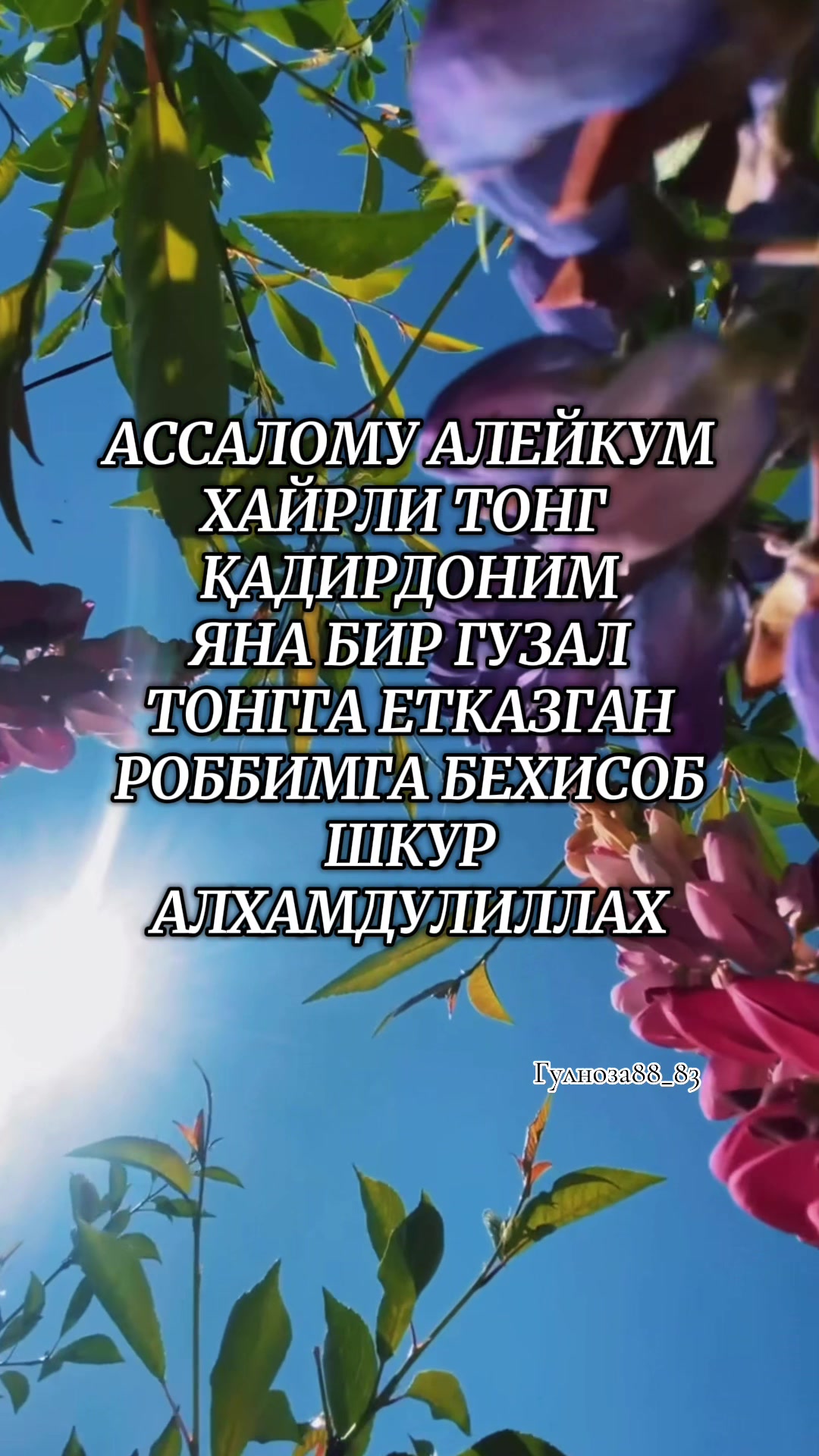@🍃🌹Gulnoza🌹🍃