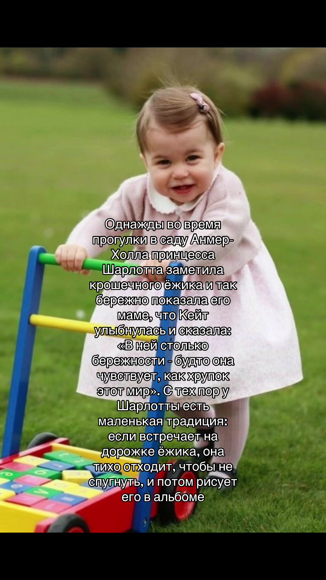 @๐๐ง๐ค๐จ๐จ_๐จ๐ เญจเญง