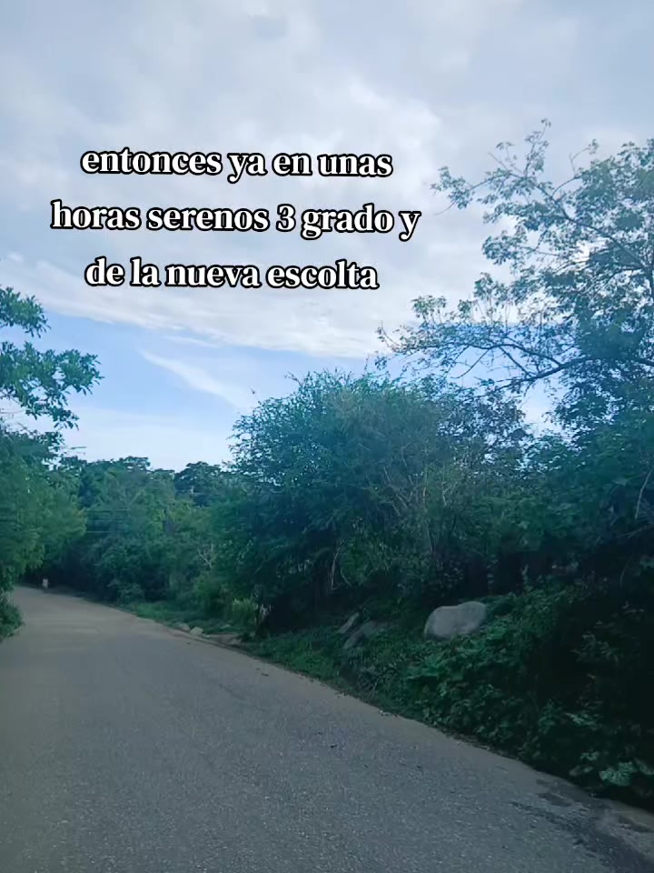 @🍃🤍