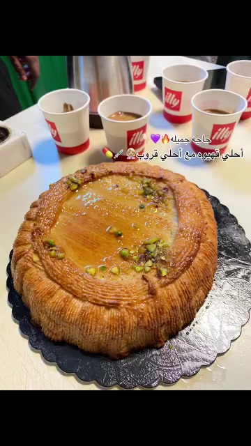 @areegmohammed97