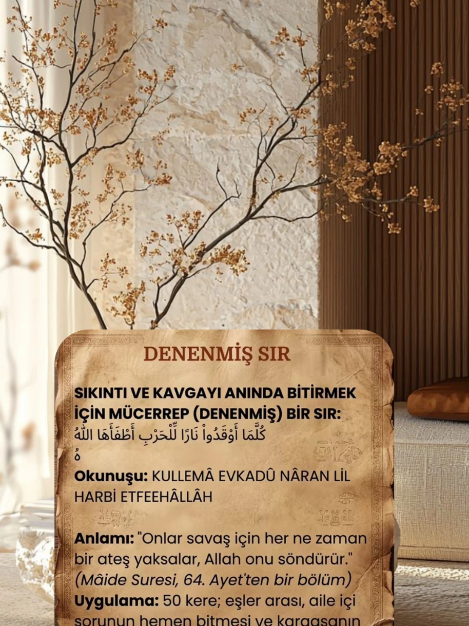 @hayat nereye gidiyor