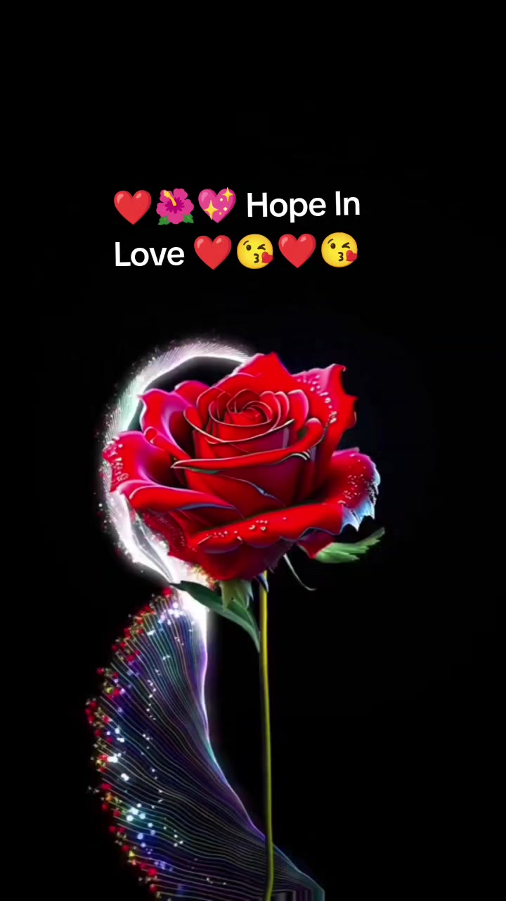 @Teresa Norcio