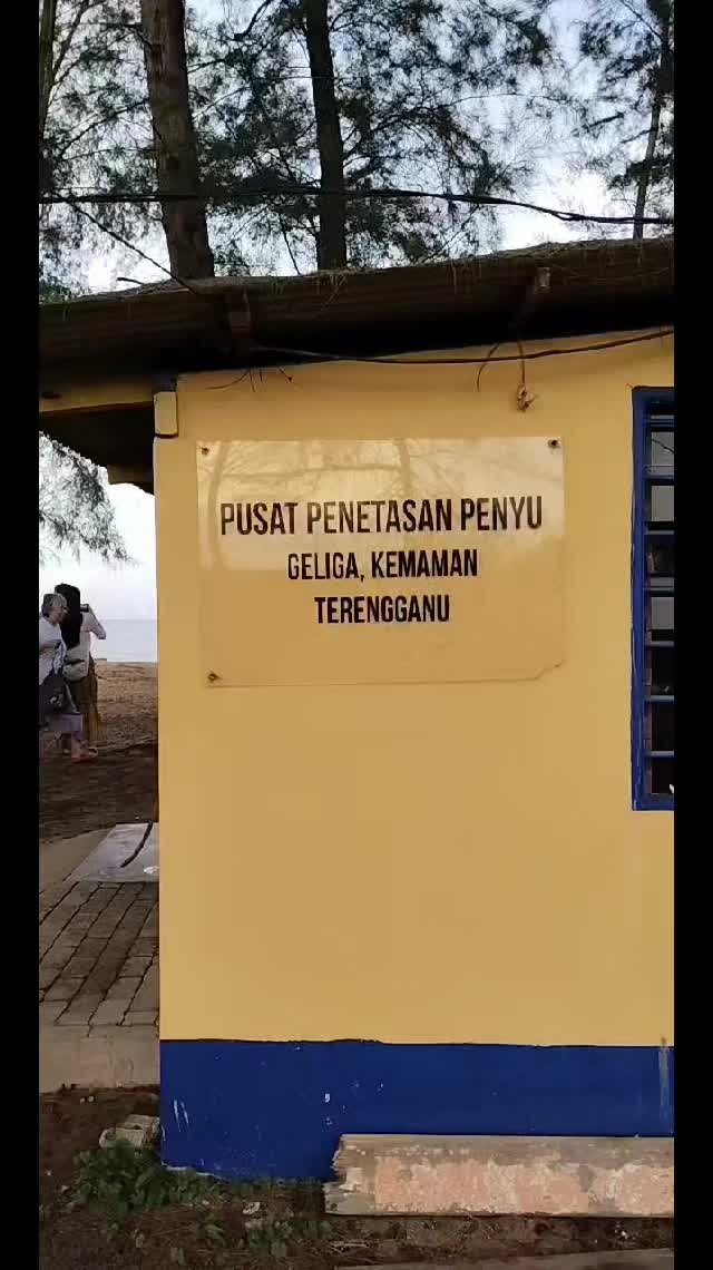 @mawarputih1377