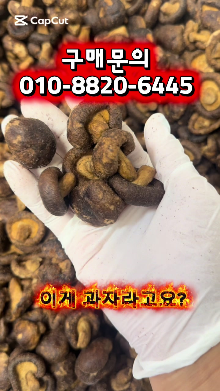 @숭사장건어물(서산건어물)🦑