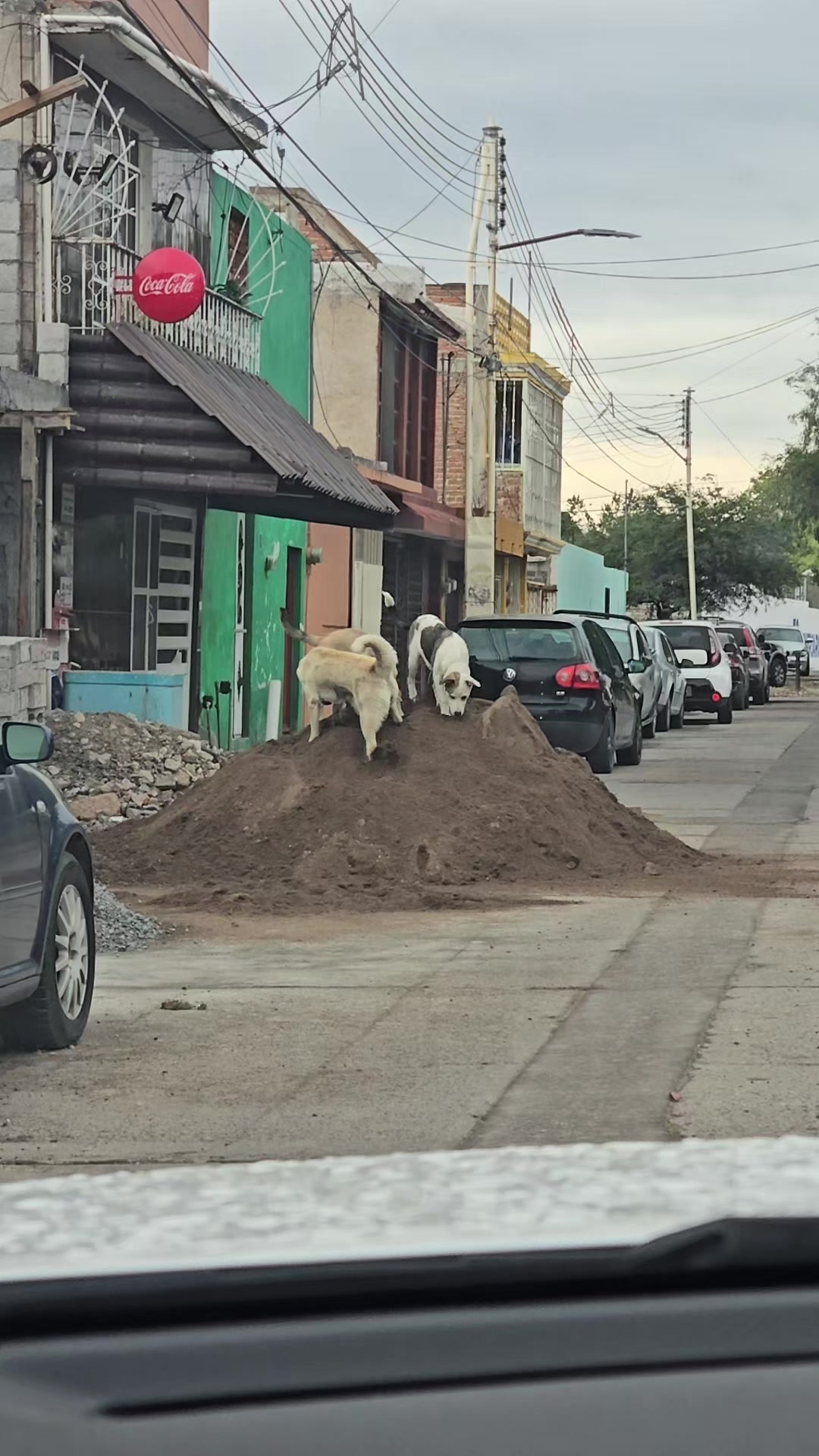 @AdultoChiquito