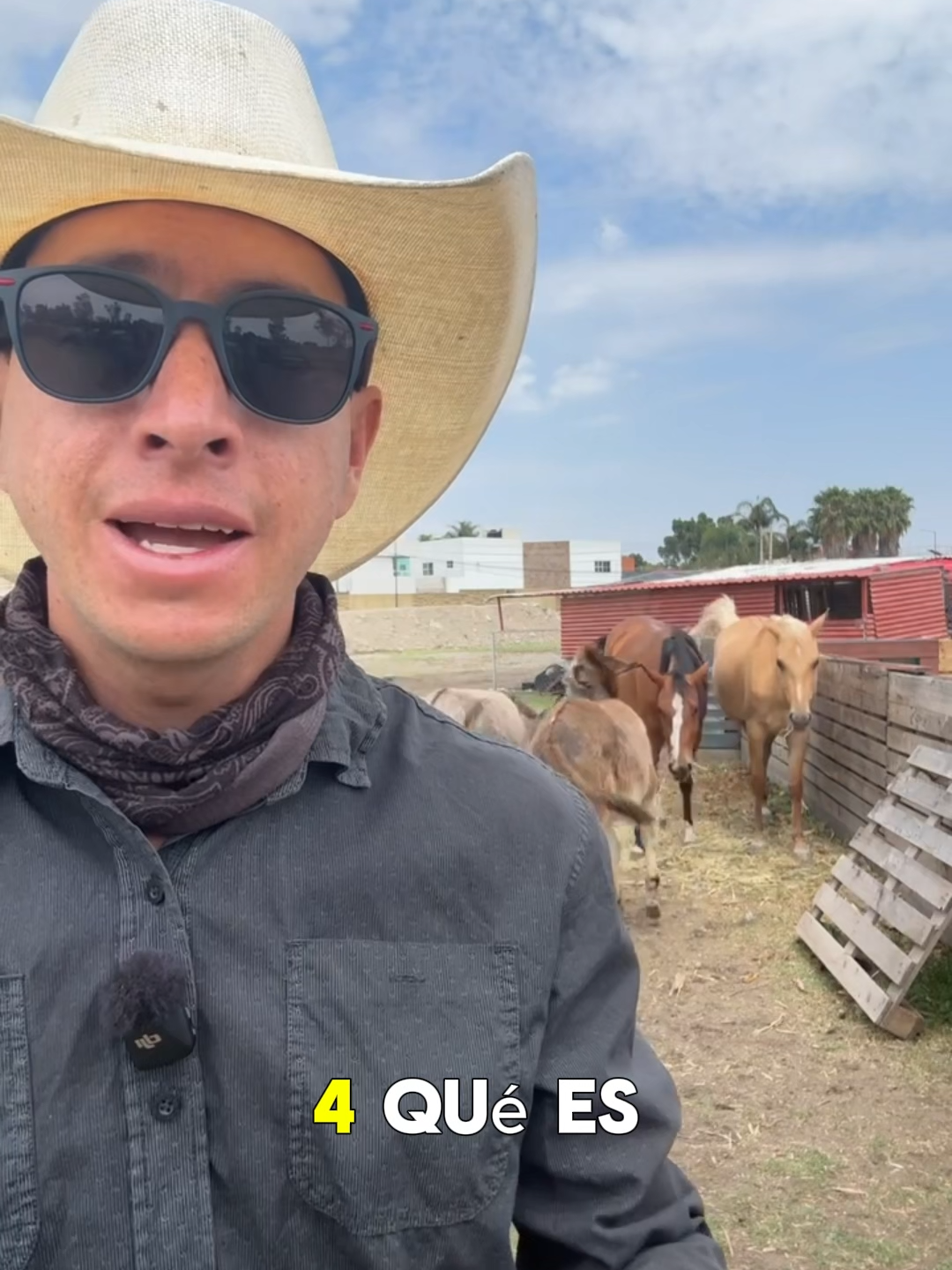 @Fotoranch